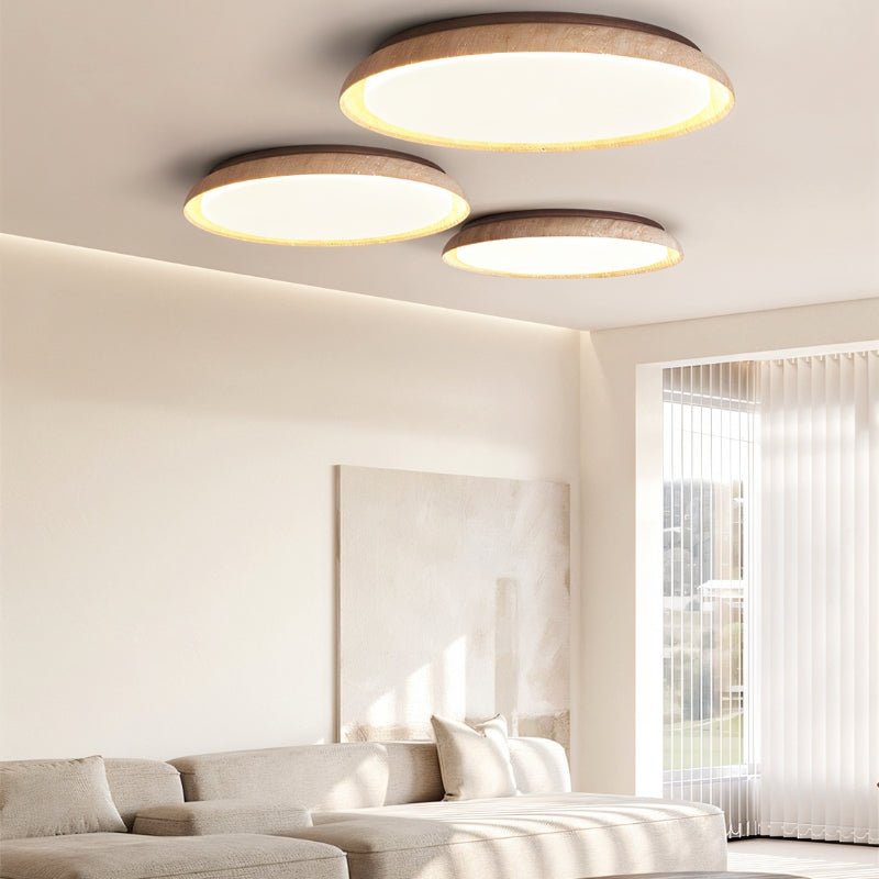 Ceiling Lights