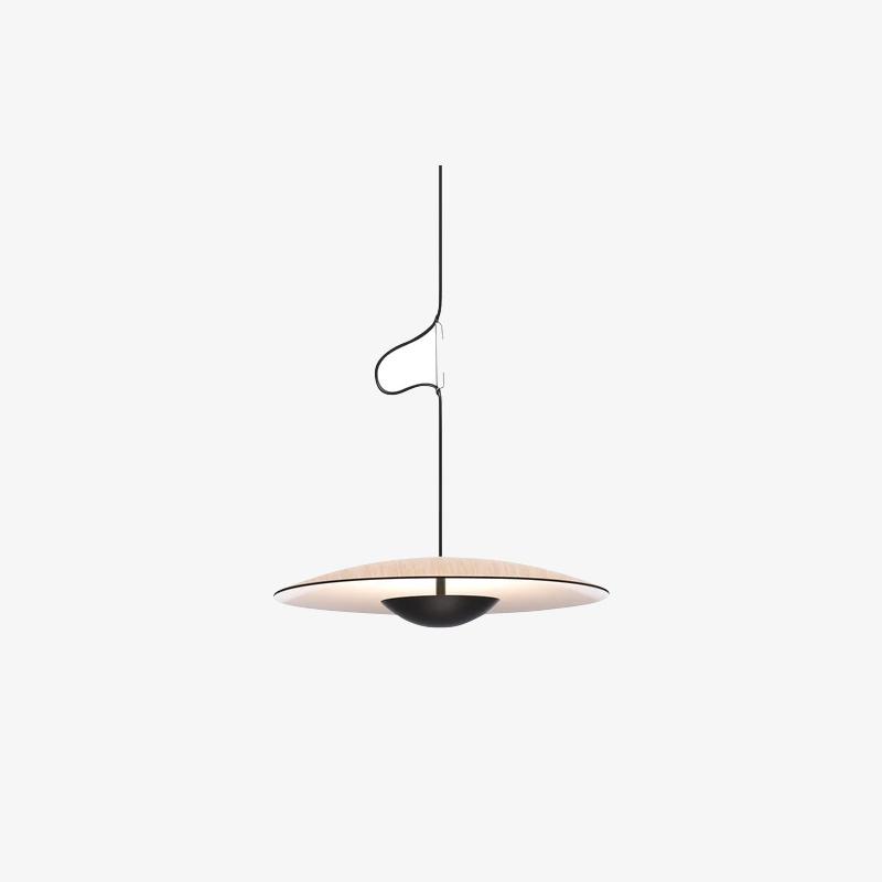 Ginger Pendant light