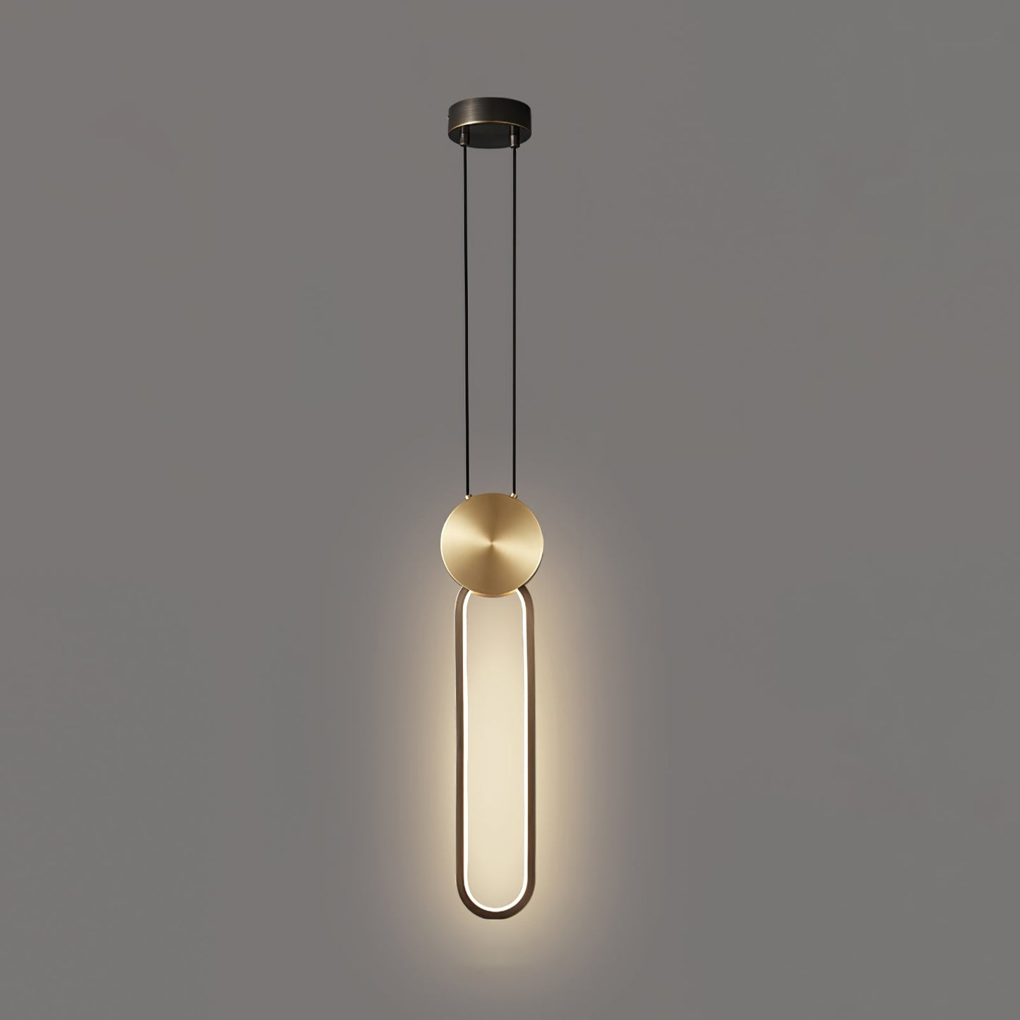 Ring Hanging Pendant Light