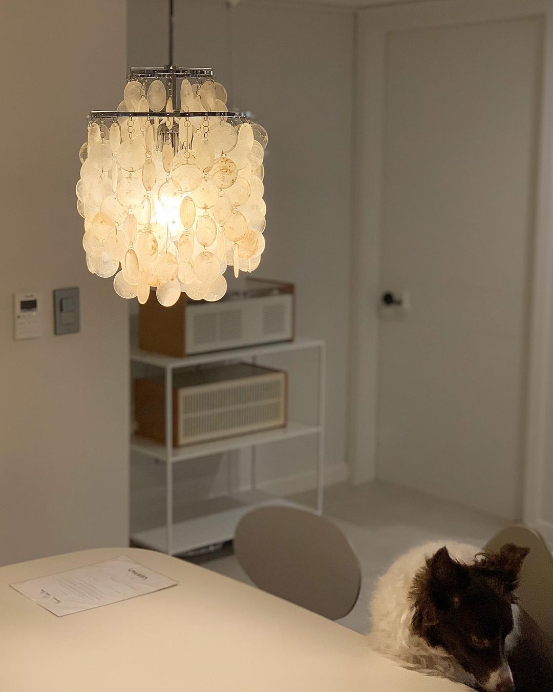 Seashells Pendant Light