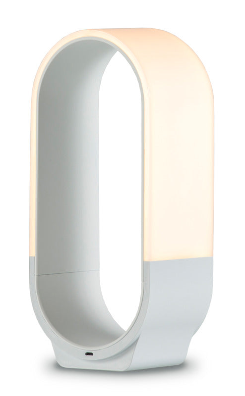 Mr. Go Lantern Light