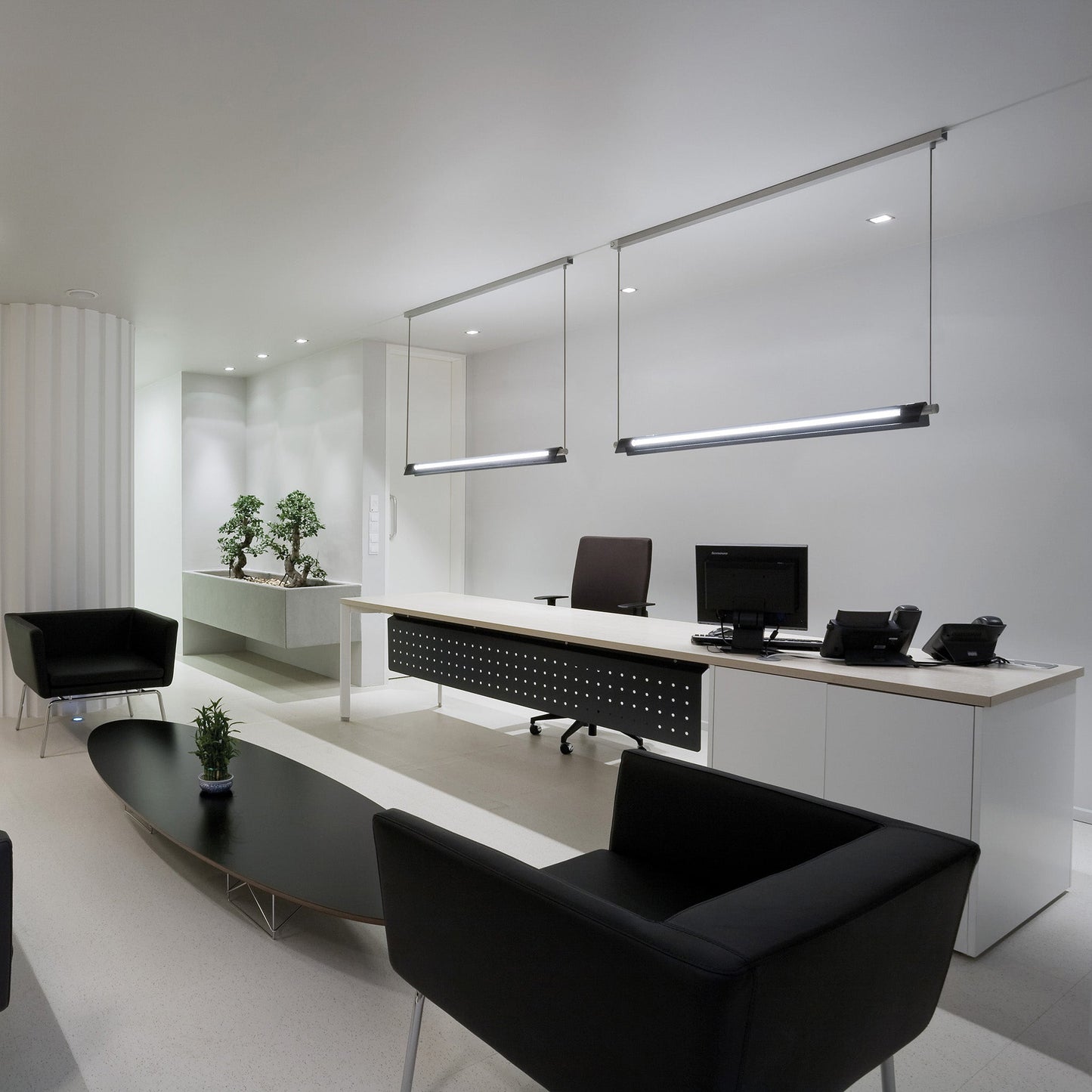 Roof Pendant Light