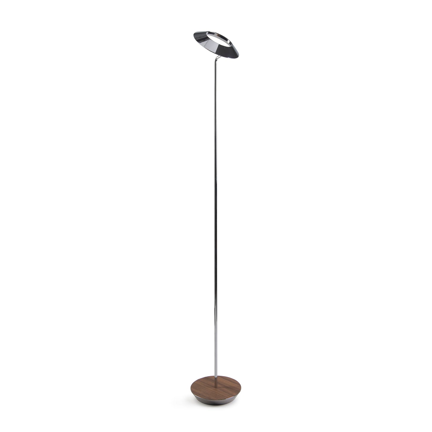 Royyo Floor Lamp