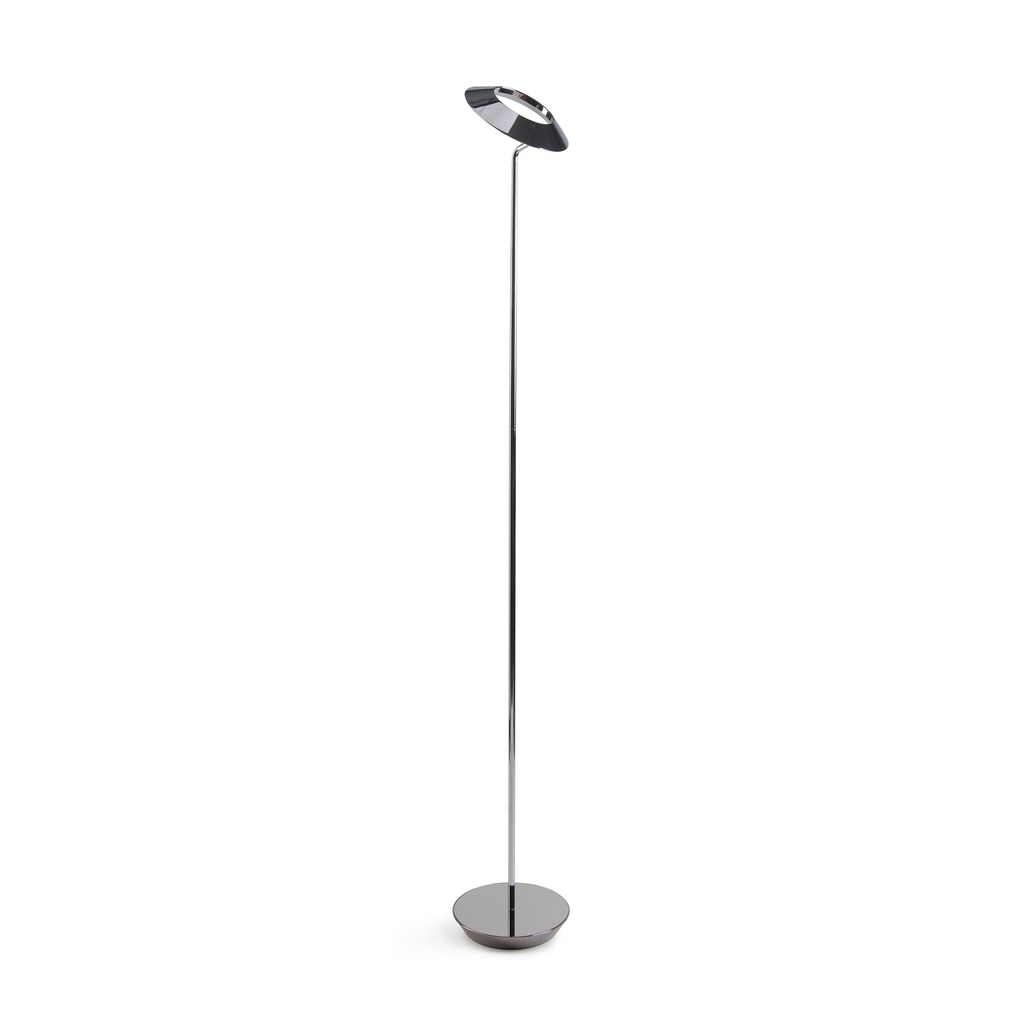 Royyo Floor Lamp