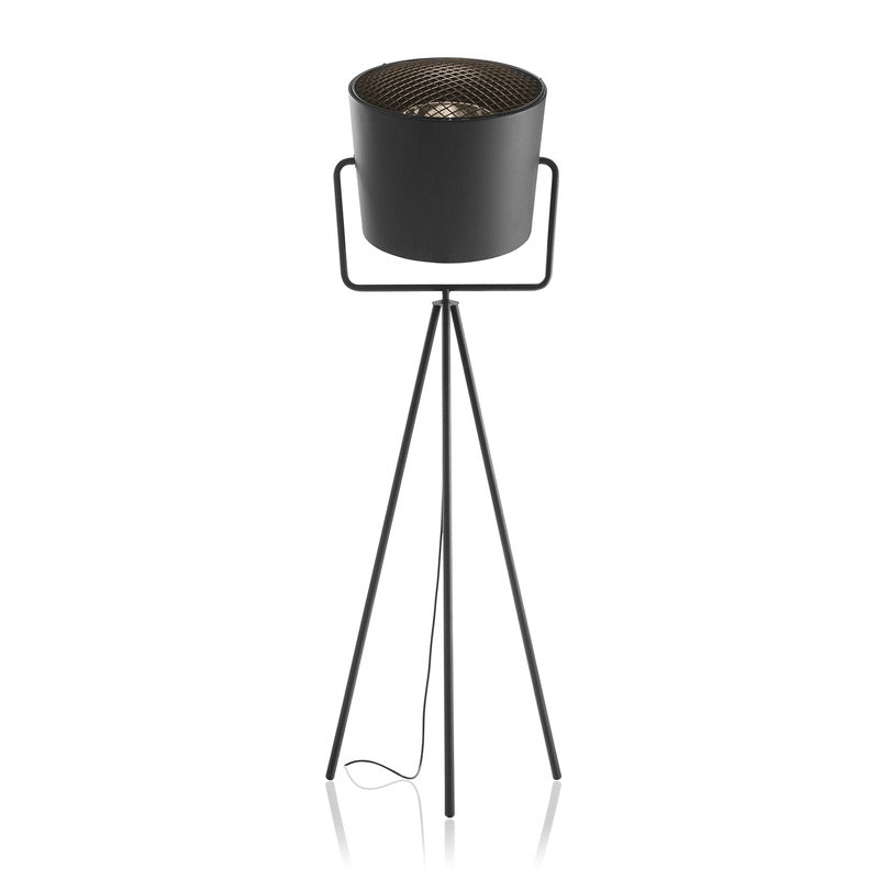 Last Floor Lamp