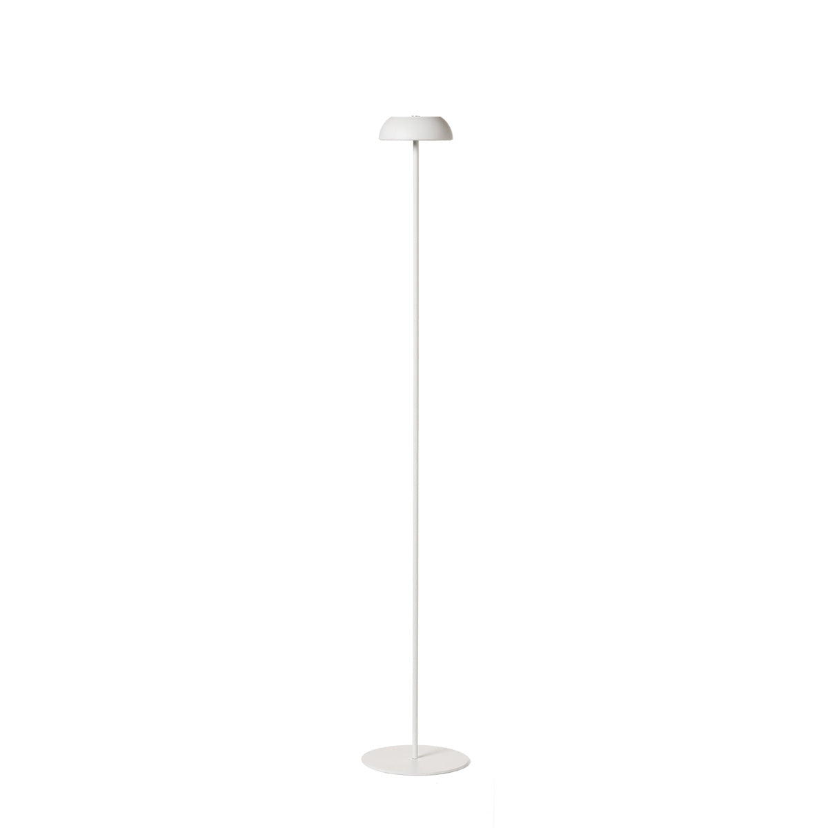Float Floor Lamp
