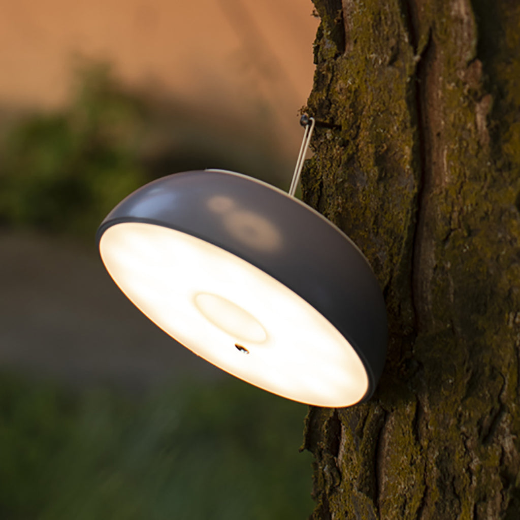 Float Pendant Light