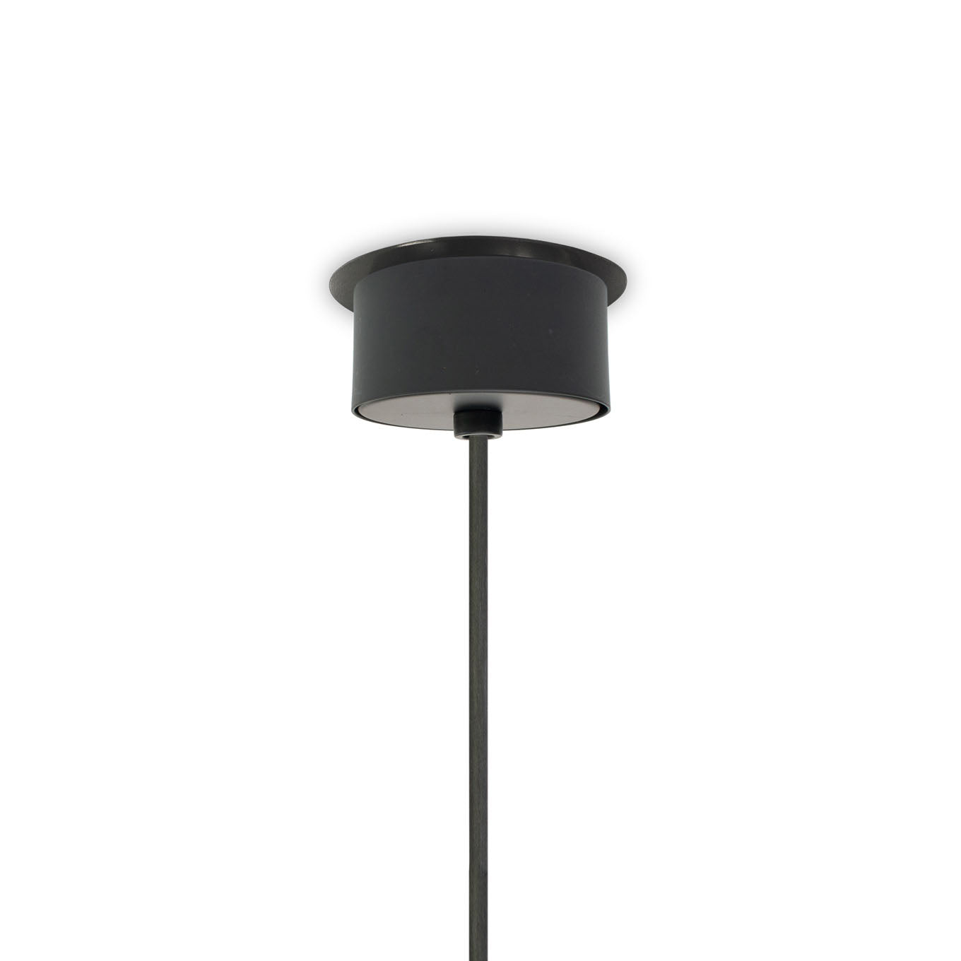 Nut Pendant Light
