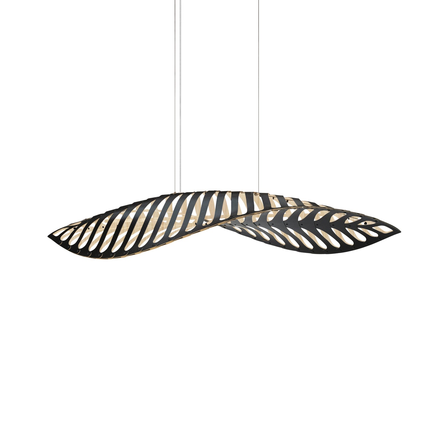 Navicula Pendant Light