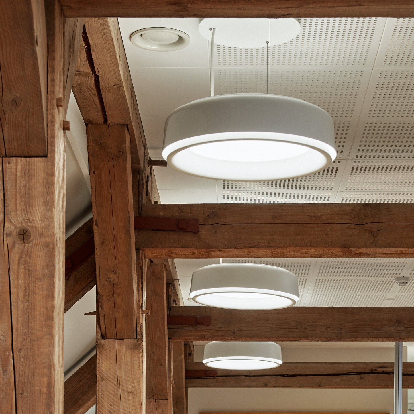 LP Grand Suspension Light