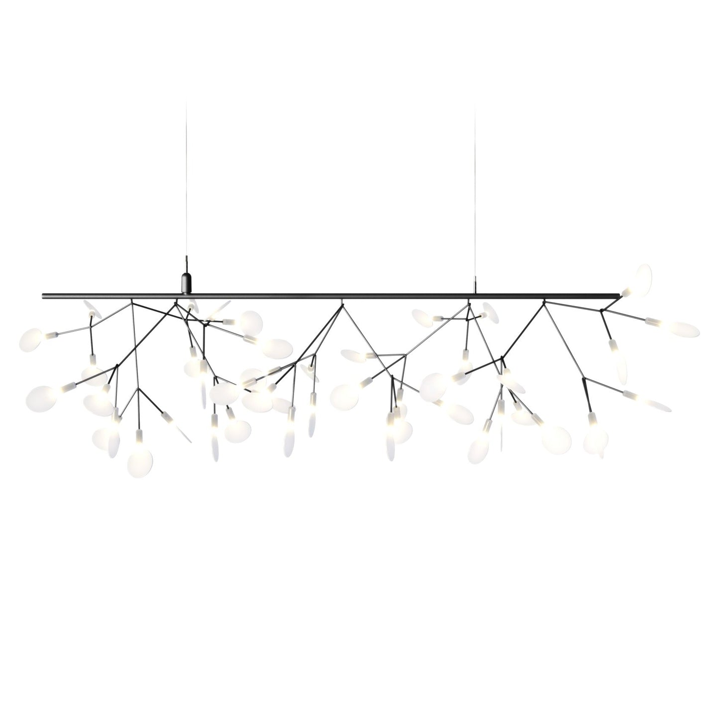 Heracleum Endless Bends