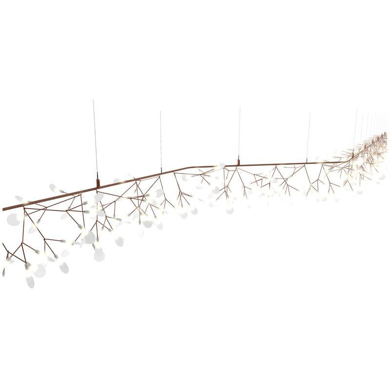 Heracleum Endless Bends