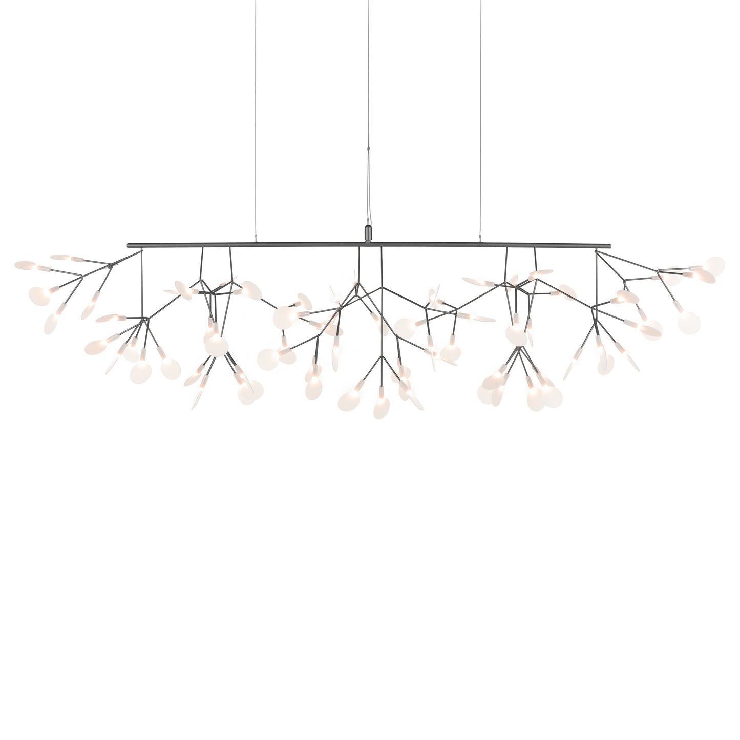Heracleum III Linear Light