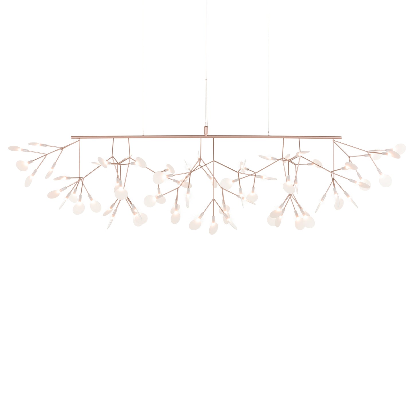 Heracleum III Linear Light