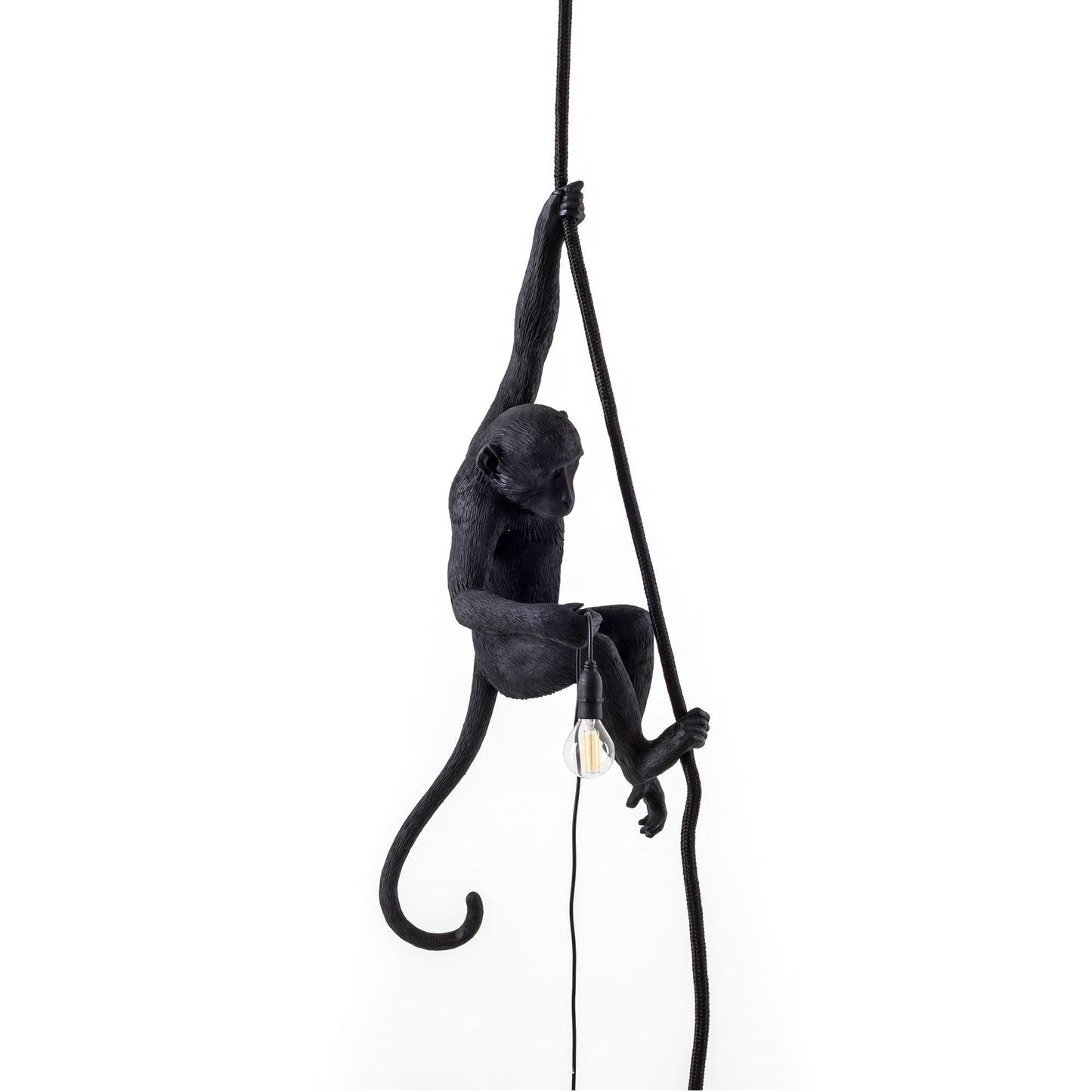 Black Monkey Outdoor Ceiling Lamp OPEN BOX
