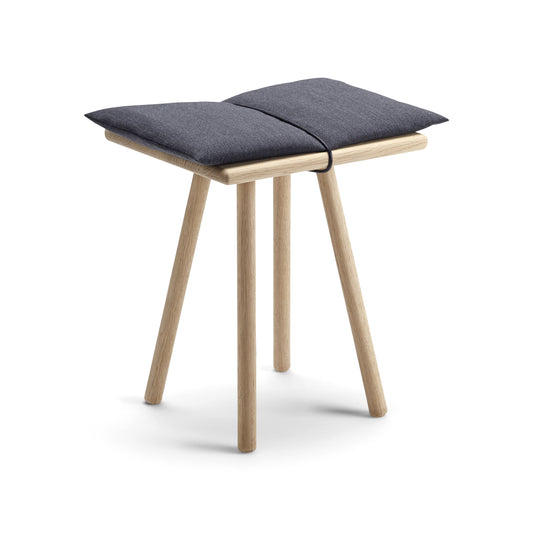 Georg Stool