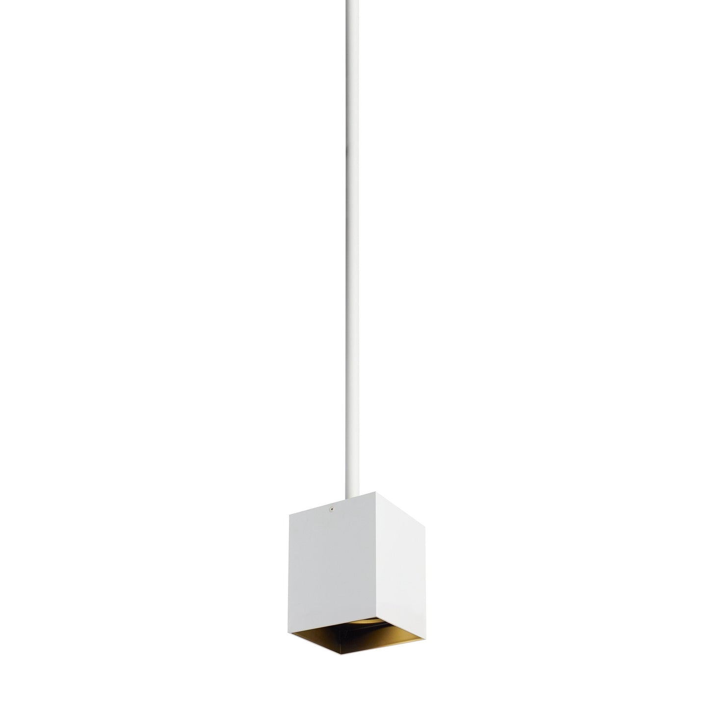 Exo 6 Pendant Light