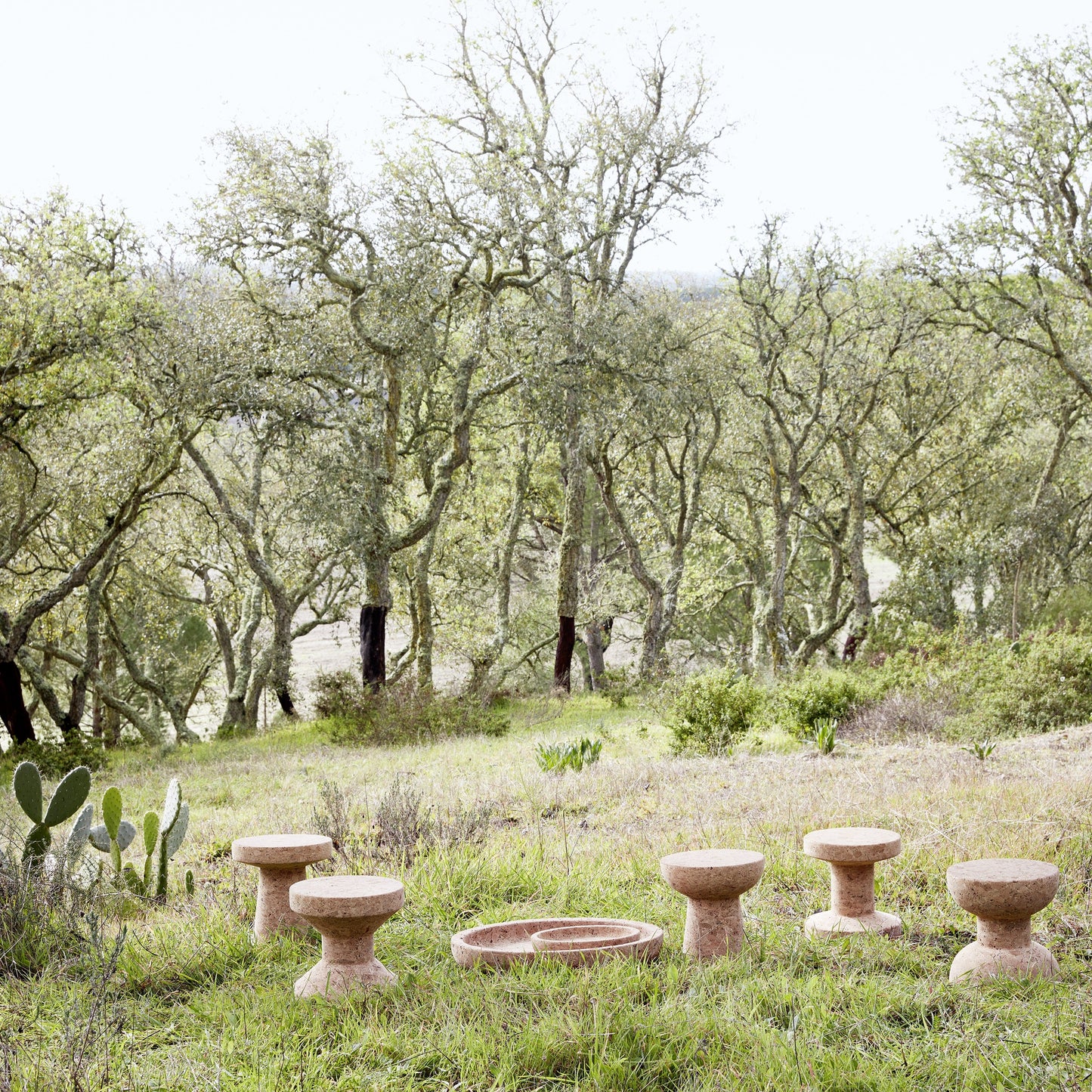 Model E Cork Stool